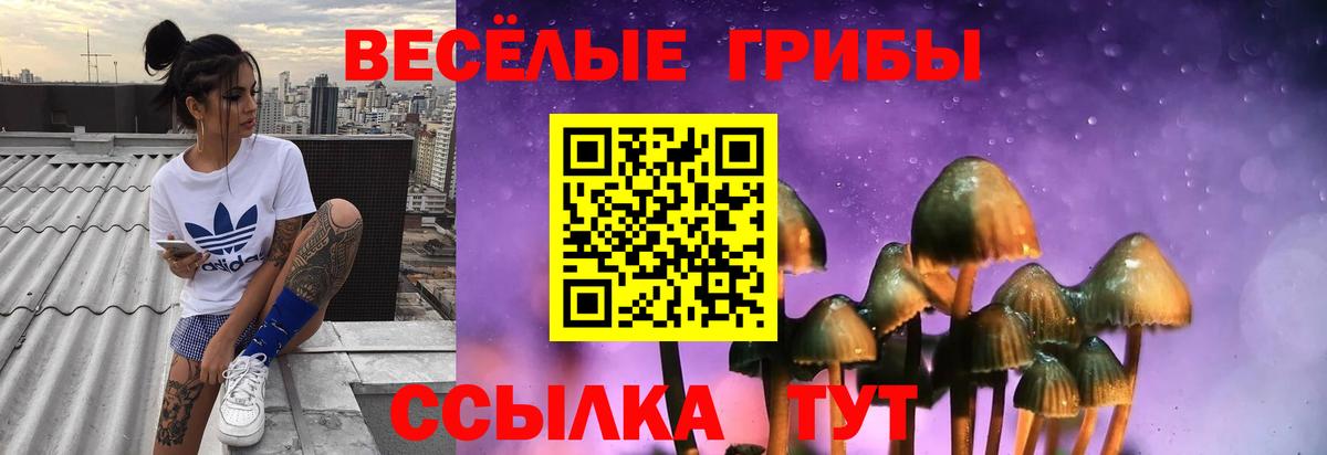 Галлюциногенные грибы мухоморы  Вход с VPN  цены   Миллерово 
